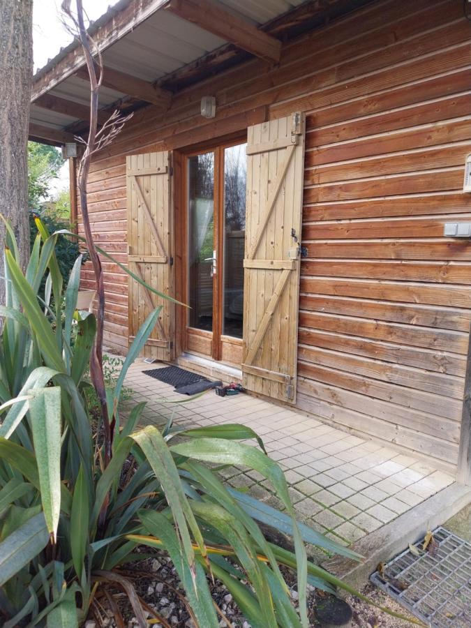 Le Petit Chalet Chanas Eksteriør billede